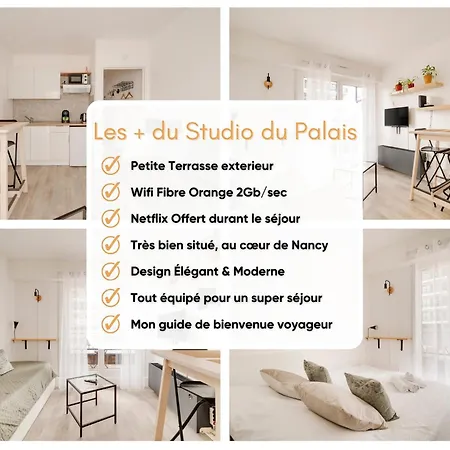 Apartament Le Du Palais - Centre Gare Congres - 2 Pers *