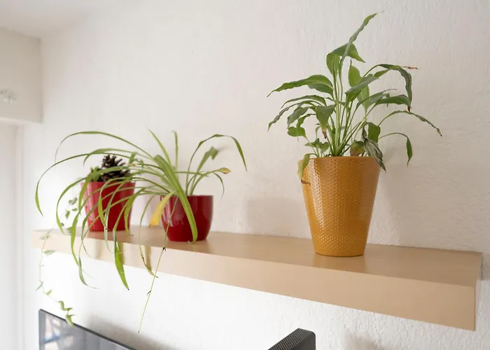 Apartamento Le Du Palais - Centre Gare Congres - 2 Pers Nancy